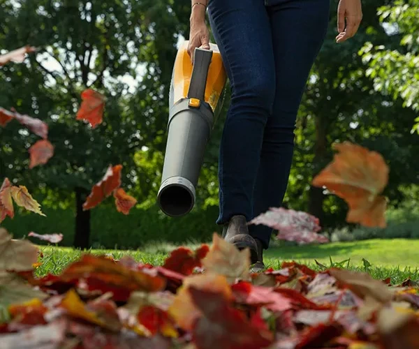 Outdoor Cleaning